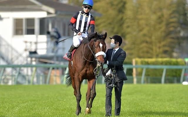 【宝塚記念予想】掲示板を外したことのない堅実派が悲願のGIタイトルに挑む！