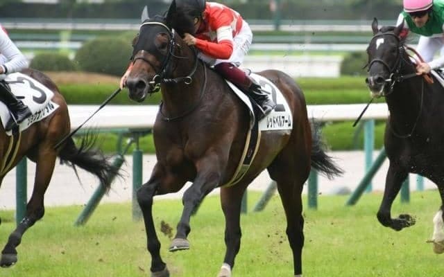 【阪神5R新馬戦結果】1番人気のレッドベルアームが差し切り勝ち