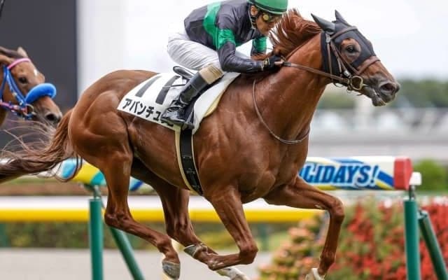 【東京5R新馬戦結果】アバンチュリエが人気に応えて差し切りV