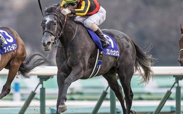 【宝塚記念・馬体重】クロノジェネシスは478kg、レイパパレは432kg(+10)