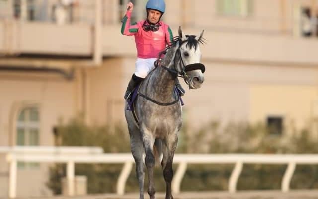 大井でJpnI帝王賞、JRAは夏の函館・福島・小倉が開幕/今週の競馬界の見どころ