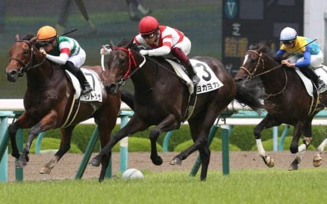 【CBC賞登録馬】熊本産馬 ヨカヨカなど13頭
