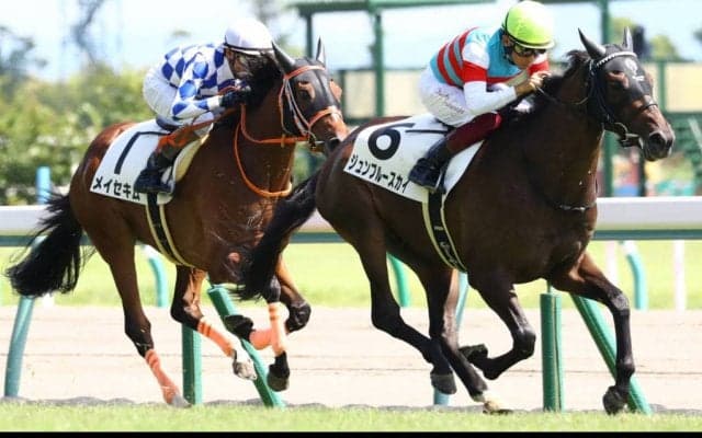 【ラジオNIKKEI賞登録馬】ジュンブルースカイなど18頭