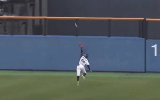「あの打球で抜けないとは！」　地方球場が騒然…恐るべき身体能力の空中キャッチ