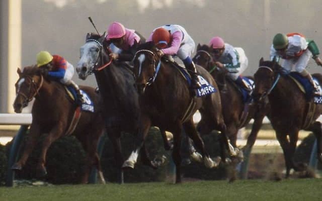 異例の7歳デビューへ一歩前進！ トウカイテイオーのラストクロップ、キセキノテイオーが能検をクリア