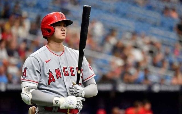 【MLB】大谷翔平、25号弾を真上から覗いてみた　貴重アングルに米仰天「フライに見えるのに」