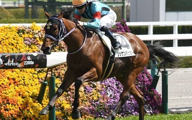 【ラジオNIKKEI賞ハンデ確定】リッケンバッカーは56.0kg、シュヴァリエローズは55.0kg