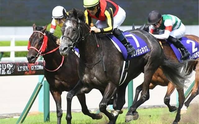 参考にできるデータが少ない“唯一無二の3歳ハンデ重賞”でAIが選んだ注目馬は？