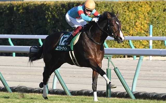 【CBC賞想定騎手】ヨカヨカは和田竜二騎手、ピクシーナイトは福永祐一騎手