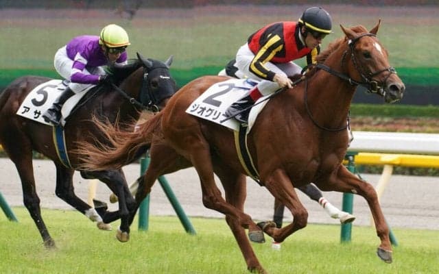 【新馬/東京5R】ドレフォン産駒 ジオグリフが快勝