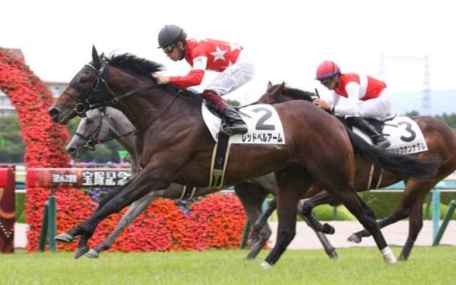 【新馬/阪神5R】ハーツクライ産駒 レッドベルアームがデビューV