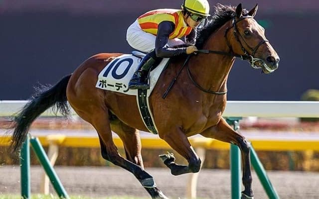 【ラジオNIKKEI賞予想オッズ】ボーデンを中心に上位人気は混戦模様