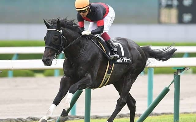 コパノリッキーやキタサンブラックにシルバーステート…早くも活躍を見せる新種牡馬の産駒たち