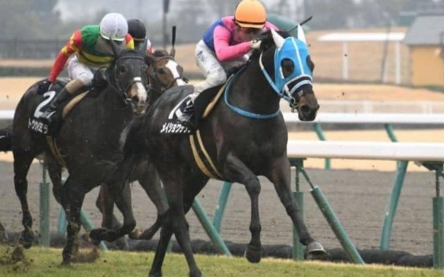 【CBC賞展望】今年は小倉開催のサマースプリント第2弾、好走の条件とは