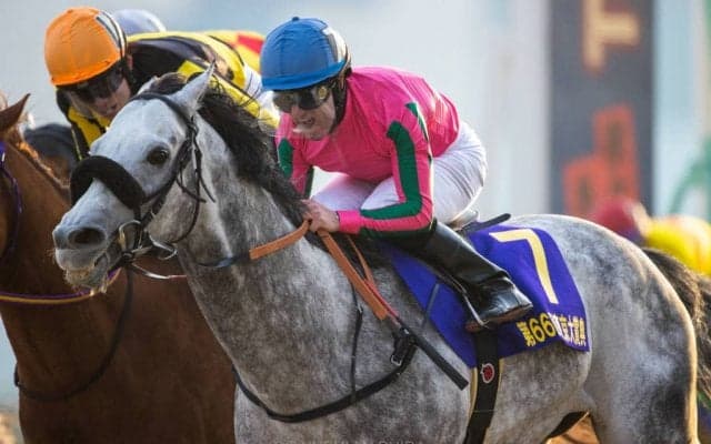 【帝王賞】オメガパフュームは6枠8番