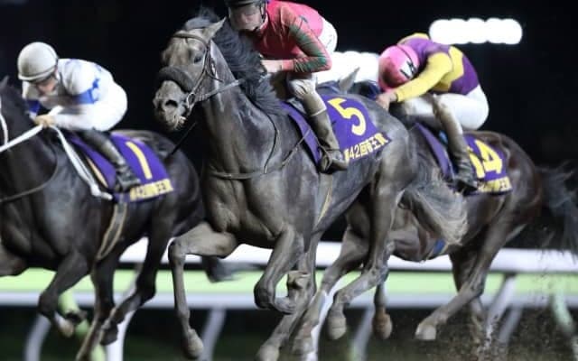 【帝王賞】得意舞台でオメガパフュームの末脚に期待する