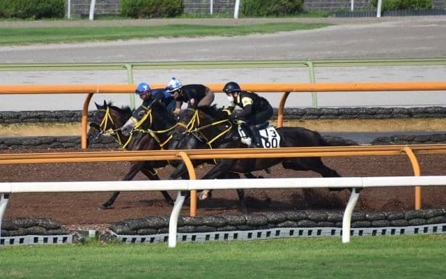 ヴァンケドミンゴ、七夕賞1週前追い切り速報/栗東トレセンニュース