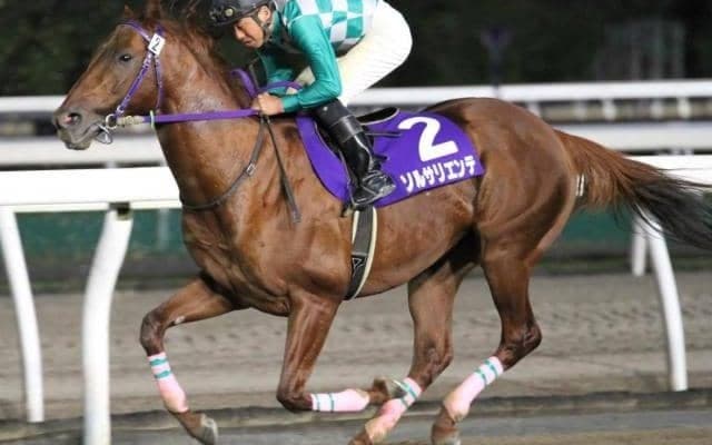 【門別競馬情報】相当ハイレベルだった“日本一早い2歳重賞”栄冠賞。突き抜けたモーニングショー筆頭に、将来楽しみな逸材わんさ！今夜メイン11Rは「ルーラーシップ・プレミアム」/地方競馬情報