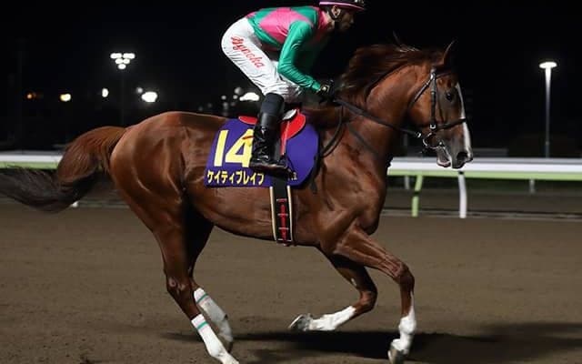 【JRA】ケイティブレイブが美浦の清水英克厩舎に転厩　2017年帝王賞などJpnI・3勝