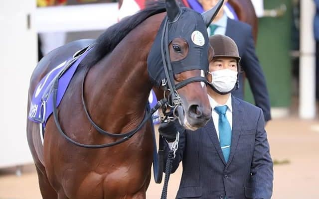 【七夕賞想定】前年覇者クレッシェンドラヴ、鳴尾記念2着馬ショウナンバルディなど