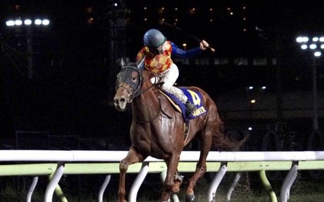 【帝王賞】テーオーケインズが交流G1初制覇！