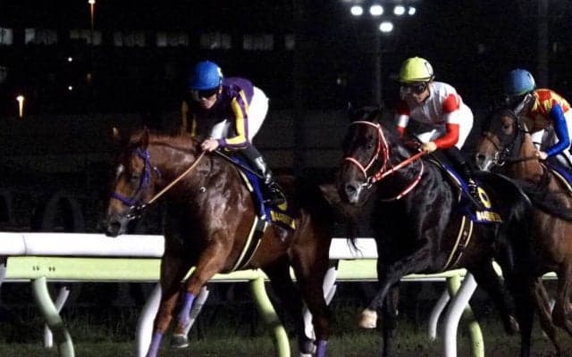 【帝王賞】張田「ペースが…」カジノフォンテンは10着敗退