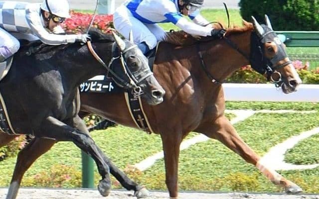 【門別競馬情報】赤レンガ記念快勝のリンノレジェンド参戦！JRA2勝クラス勝って転入初戦サンビュートらの挑戦を凌いでみせるか「ハービンジャー・プレミアム」/地方競馬情報