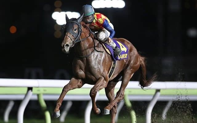 【大井・帝王賞】3連勝での帝王賞制覇 テーオーケインズ松山弘平騎手「馬が本当によく頑張ってくれて良かった」