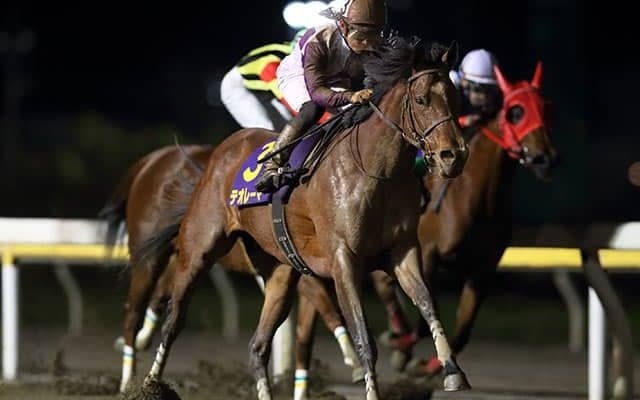 【川崎・スパーキングLC】テオレーマは川田将雅騎手、ウルトラマリンは福永祐一騎手が騎乗予定
