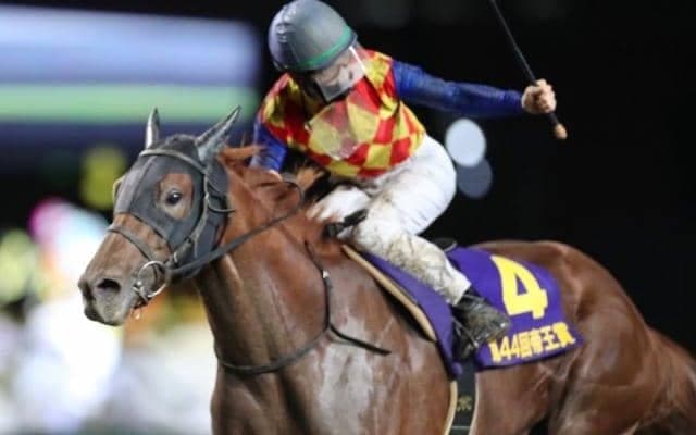 【帝王賞回顧】急成長の4歳馬テーオーケインズが一気に頂点へ/斎藤修