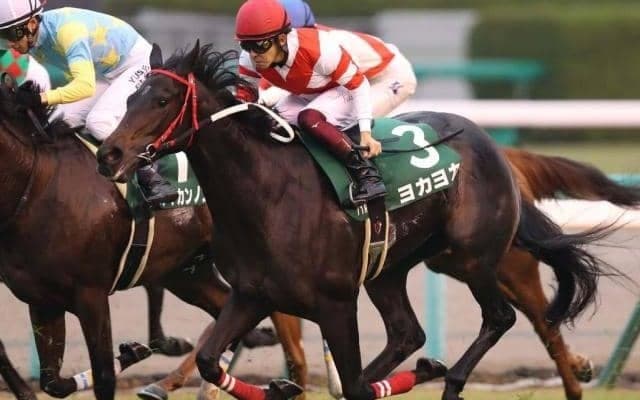 【CBC賞出走馬・騎手確定】ヨカヨカ＆和田竜二、アウィルアウェイ＆松山弘平など13頭