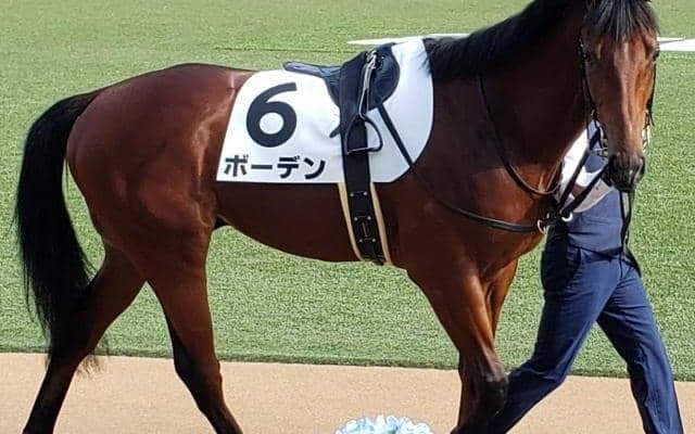 【ラジオNIKKEI賞出走馬・騎手確定】リッケンバッカー＆幸英明、ボーデン＆武藤雅など16頭