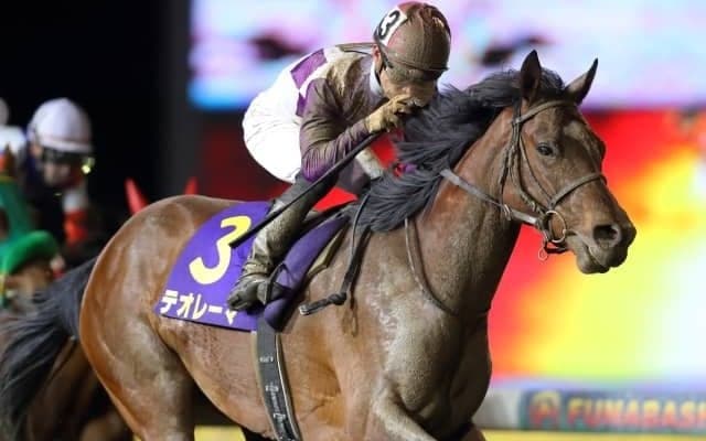 【川崎・スパーキングレディーC出走予定馬】テオレーマ、サルサディオーネら