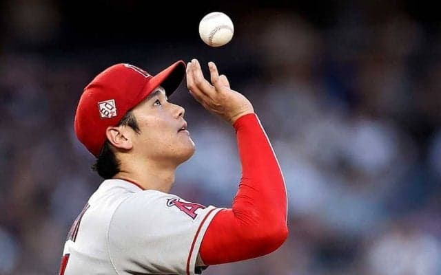 【MLB】大谷翔平にNYファン集結　密になった1枚に米記者注目「オオタニを大群が見ている」