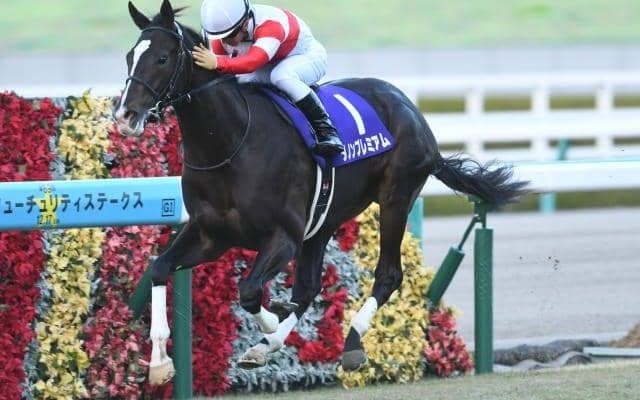 【JRA】ダノンプレミアムが引退　2017年の最優秀2歳牡馬
