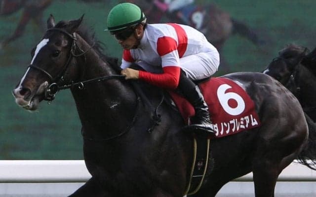 ダノンプレミアムが競走馬登録抹消