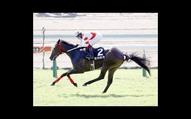 CBC賞は「小倉／芝1200ｍ」の成績を重視。種牡馬の実績も見て２頭に注目