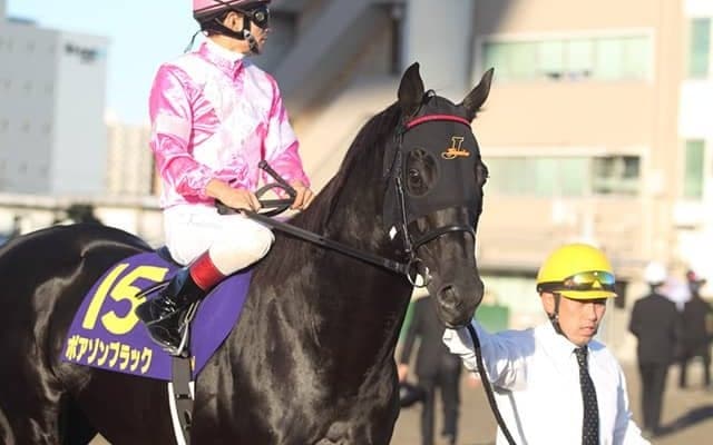 新種牡馬ポアゾンブラック産駒がJRA初出走　土曜福島6Rのイチネンエーグミ