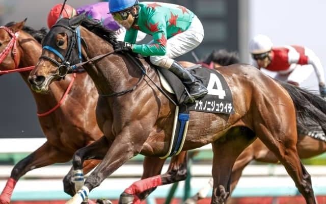 【本日の注目ポイント】夏の福島・小倉・函館開催が開幕！