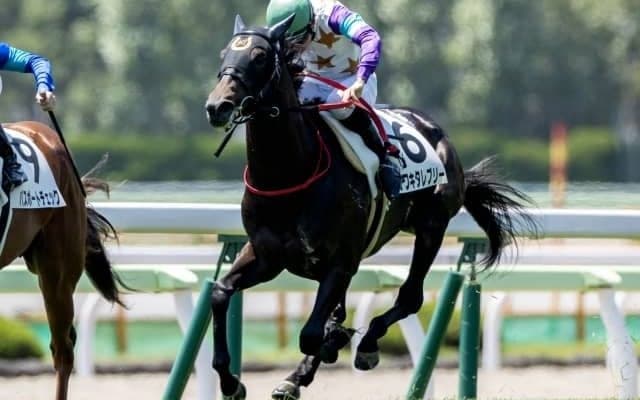 【函館5R新馬戦結果】カワキタレブリーがゴール前で差し切りV
