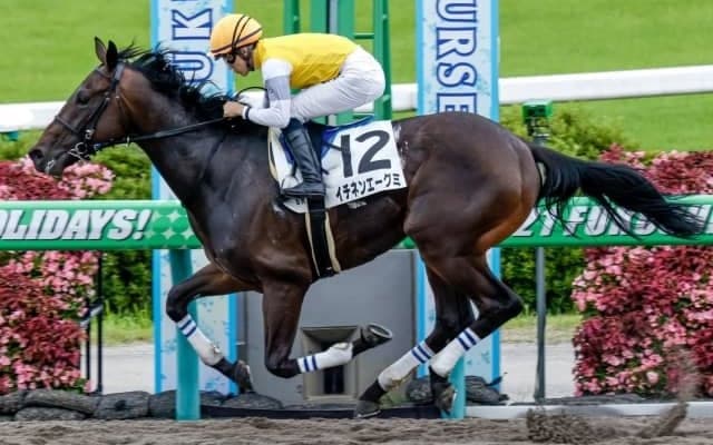 【福島6R新馬戦結果】イチネンエーグミが逃げ切りV　ポアゾンブラック産駒初勝利