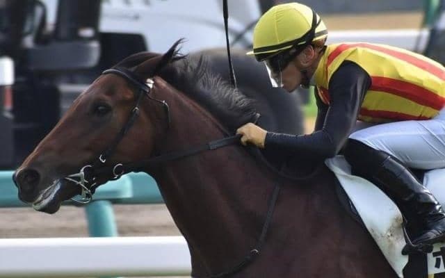 【ラジオNIKKEI賞前日オッズ】ボーデンが5.1倍で1番人気