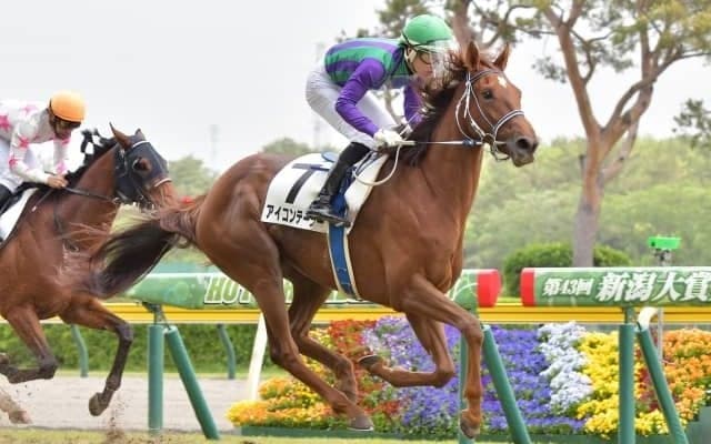 【WIN5予想】ラジオNIKKEI賞は各馬の勝ち鞍に注目したい