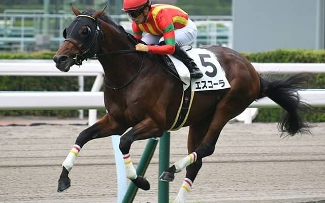 【JRA】土曜小倉芝で日本レコードが2件　1200mで1分6秒4、1800mで1分43秒8