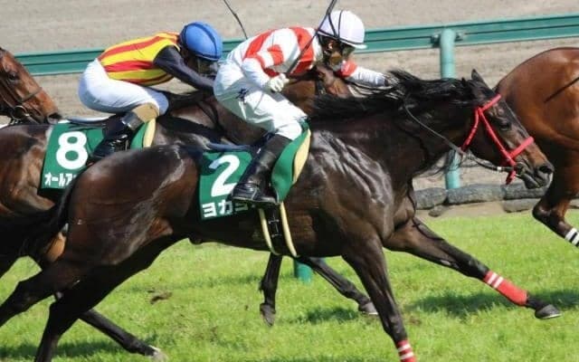 【本日の注目ポイント】福島でラジオNIKKEI賞、小倉でCBC賞