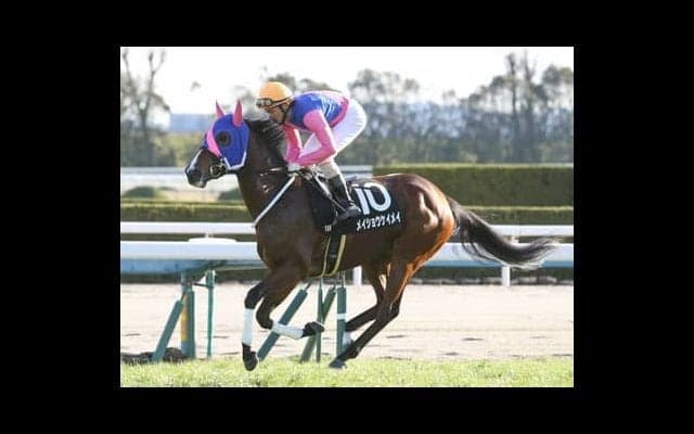 再び100万円超えの高額配当が飛び出すか!?　CBC賞を占う「被りのサイン」