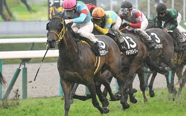 【CBC賞予想】狙いは小回りコースを苦にしない快速馬