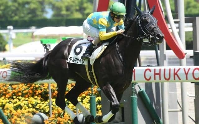 【ラジオNIKKEI賞予想】前走どこを使っていたかは関係ない？狙うのは内枠に入った逃げタイプの人気薄！