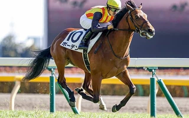 【ラジオNIKKEI賞予想】最も怖いのは重賞級の能力を秘めた素質馬