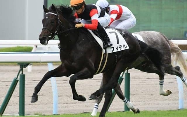 【小倉5R新馬戦結果】良血フィデルが単勝1.1倍の圧倒的人気に応えてV